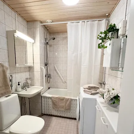 Tilava Kaksio Saimaa Naekoealalla * Savonlinna